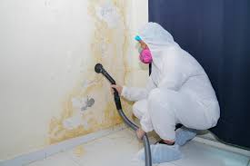 Professional Mold Inspection in Garden City, KS